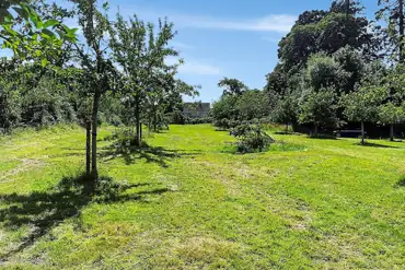 Grass pitches in the orchard