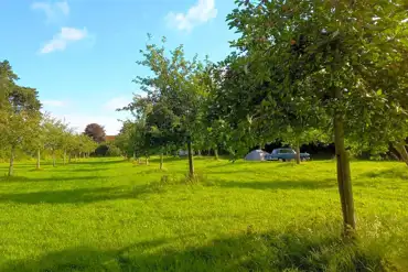 Grass pitches 
