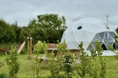 Grass Roots Caravan Glamping & Alpaca Trekking