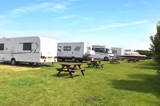 Grass Roots Caravan Glamping & Alpaca Trekking, Waterston, Milford Haven, Pembrokeshire (9.4 miles)