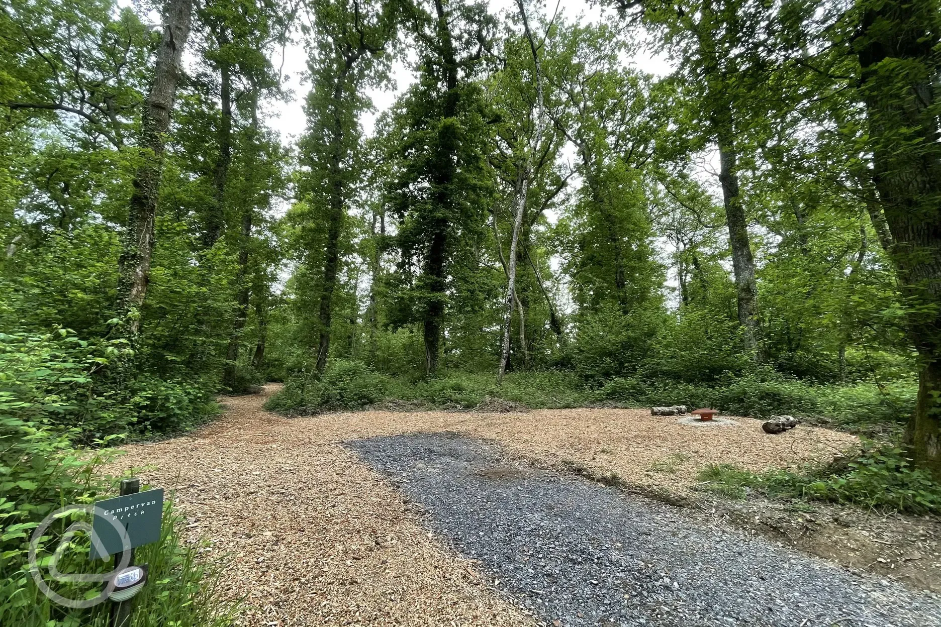 Non electric forest floor campervan pitches