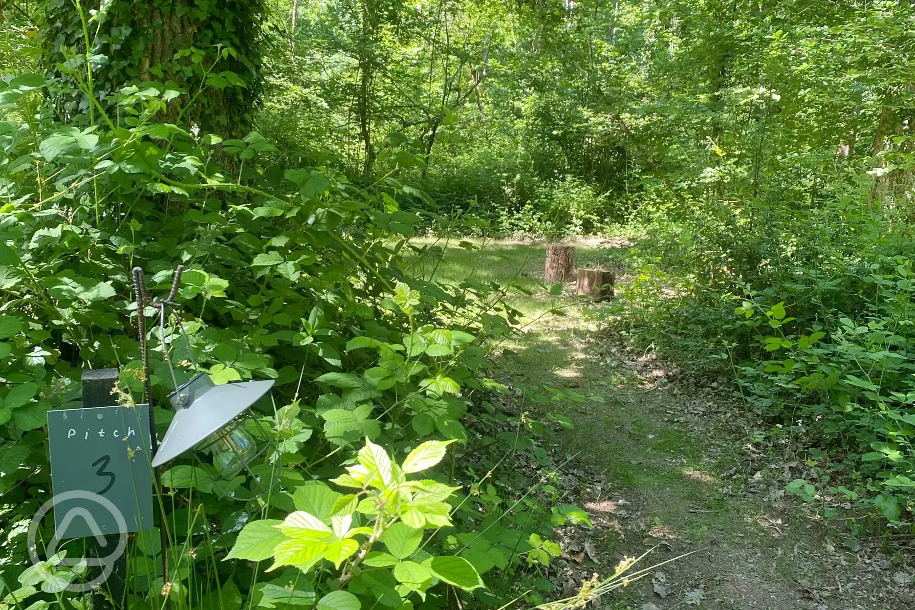 Non electric forest floor tent pitch