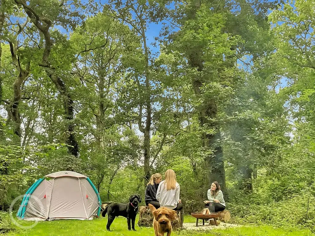 Non electric forest floor tent pitches