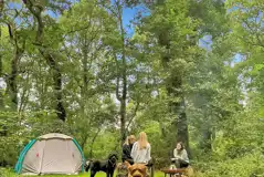 Non electric forest floor tent pitches