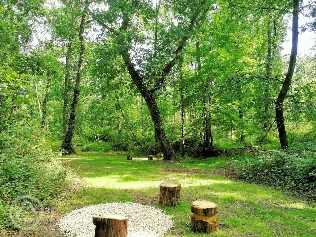 Non electric forest floor tent pitches