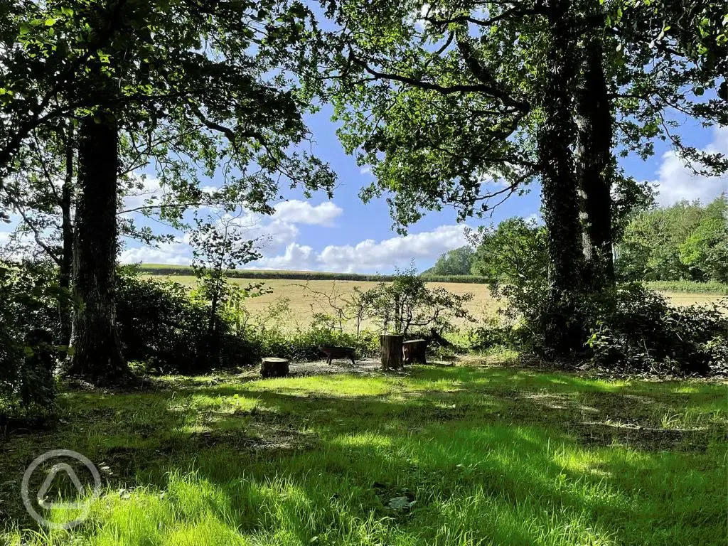 Campsite views