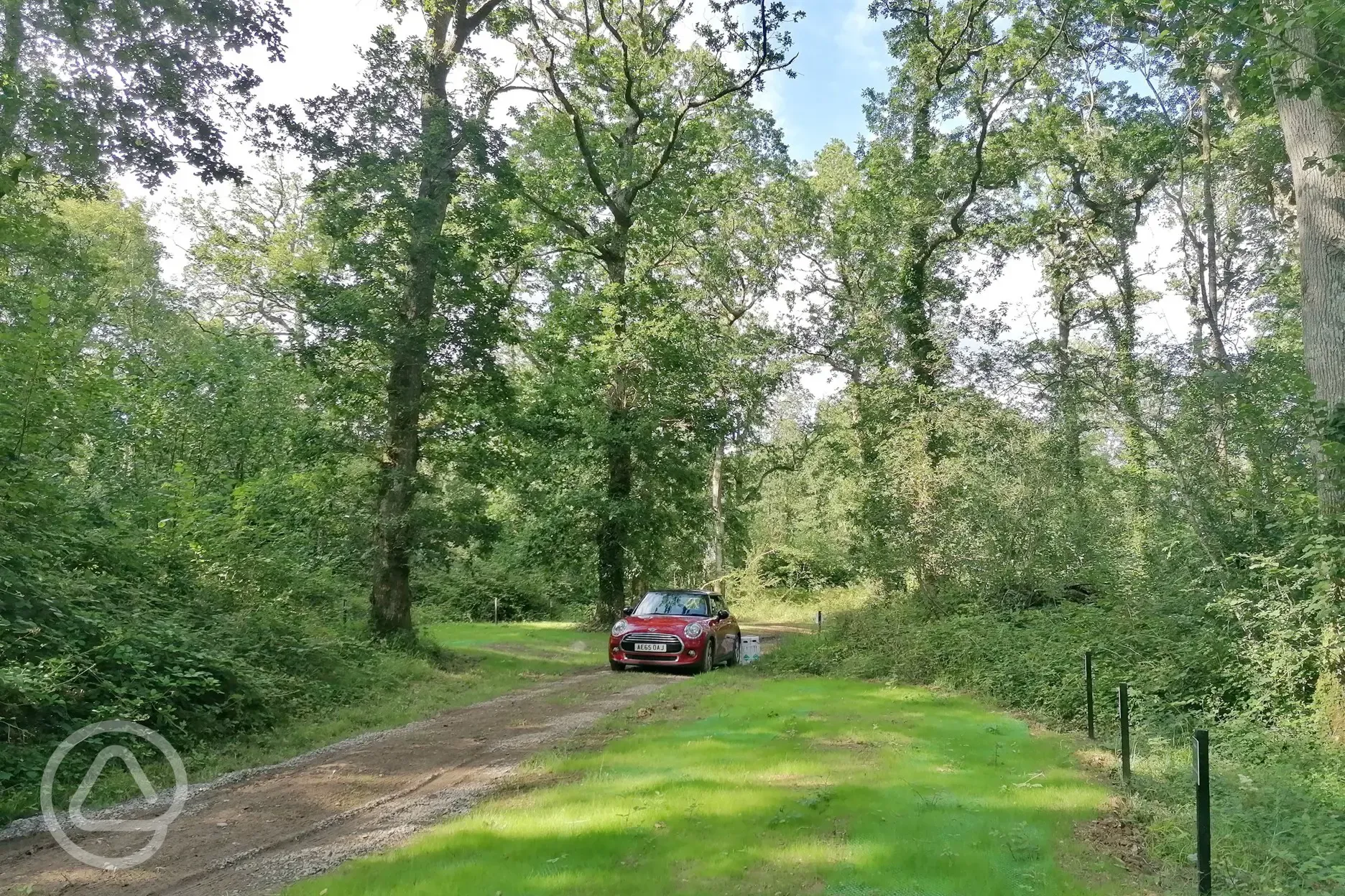 Non electric forest floor campervan pitches