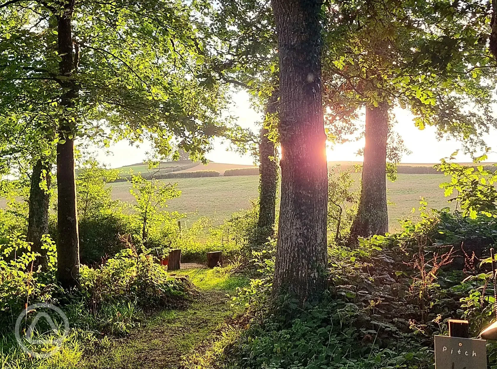 Non electric forest floor tent pitch