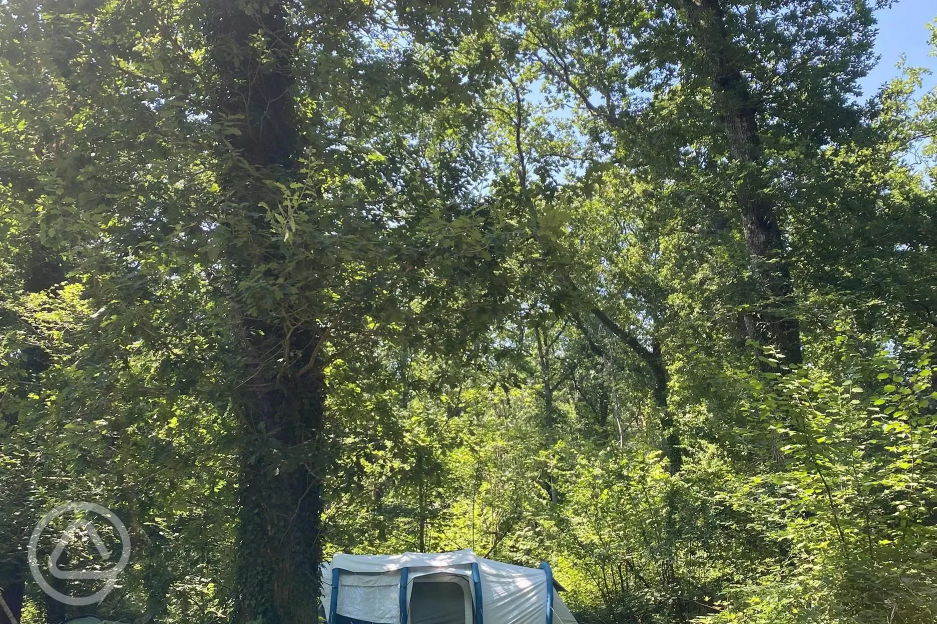 Non electric forest floor tent pitch