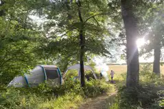 Non electric forest floor tent pitch at sunset