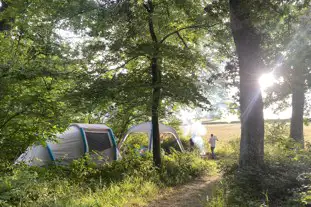 Barhams Woodland Camping, Denbury, Devon (11.3 miles)