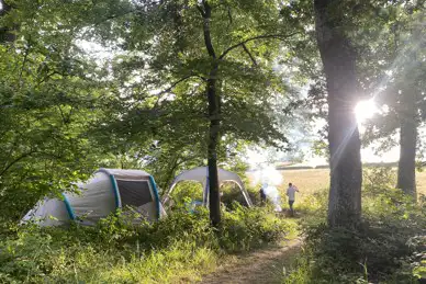 Barhams Woodland Camping