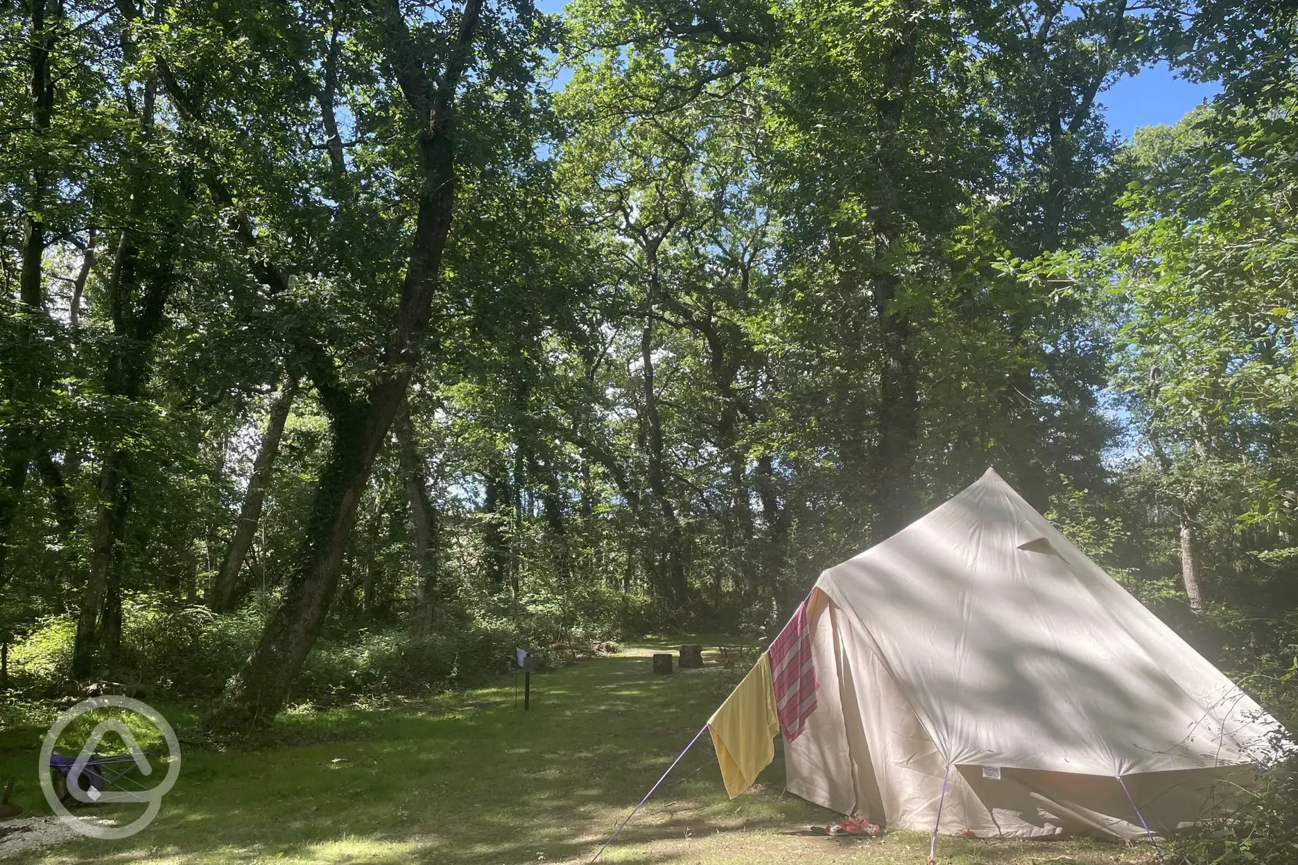 Non electric forest floor tent pitches