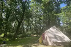 Non electric forest floor tent pitches