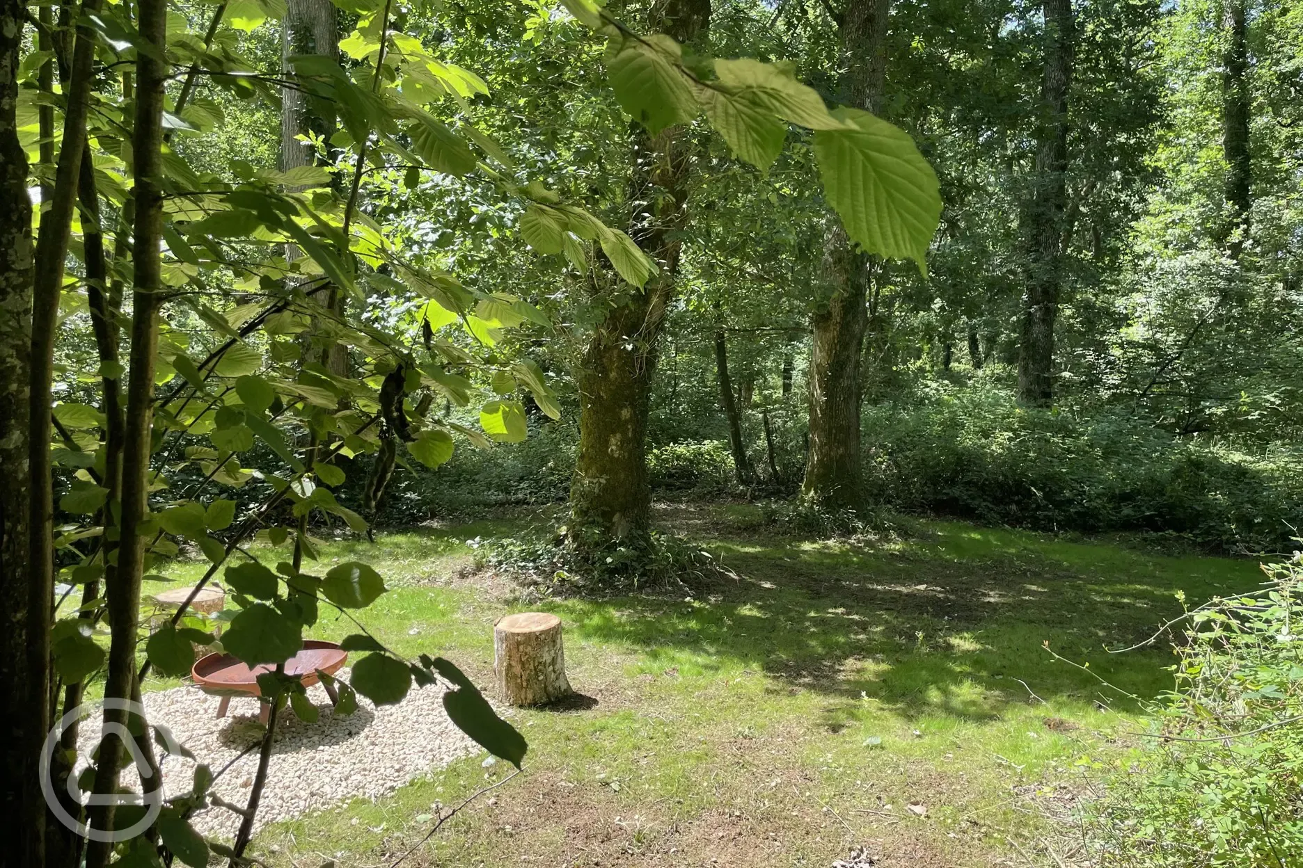 Non electric forest floor tent pitches