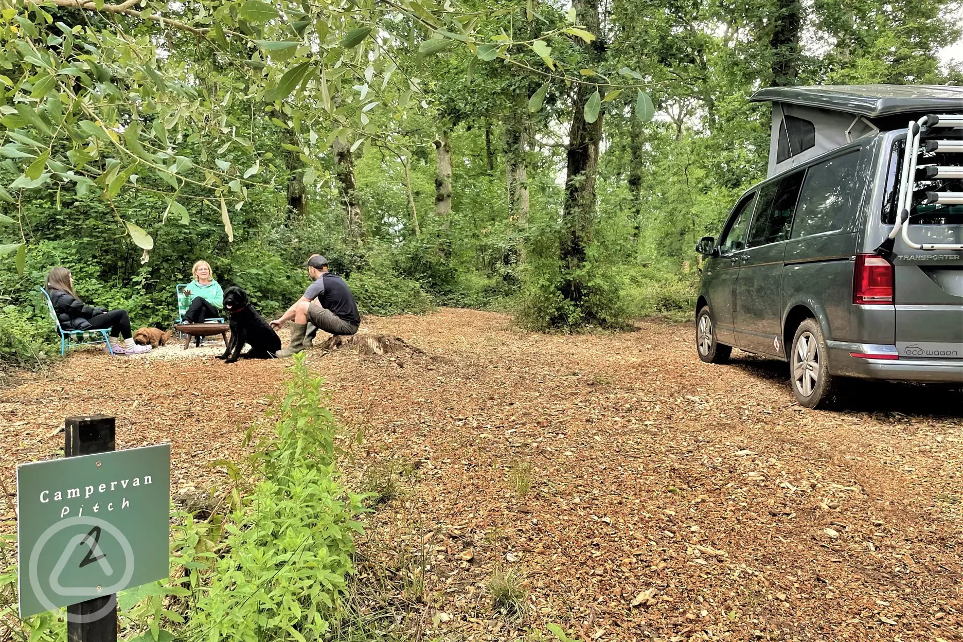 Non electric forest floor campervan pitches