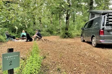 Non electric forest floor campervan pitches