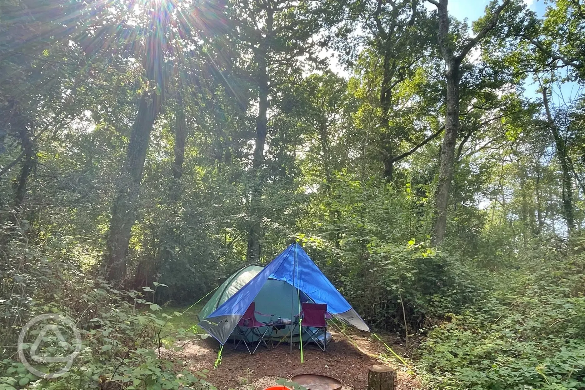 Non electric forest floor tent pitch