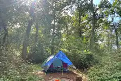 Non electric forest floor tent pitch