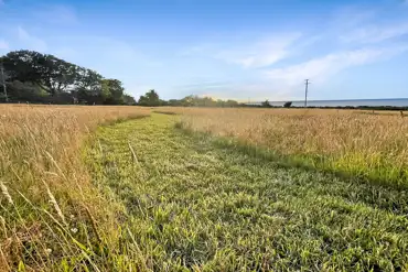 Non electric grass pitches