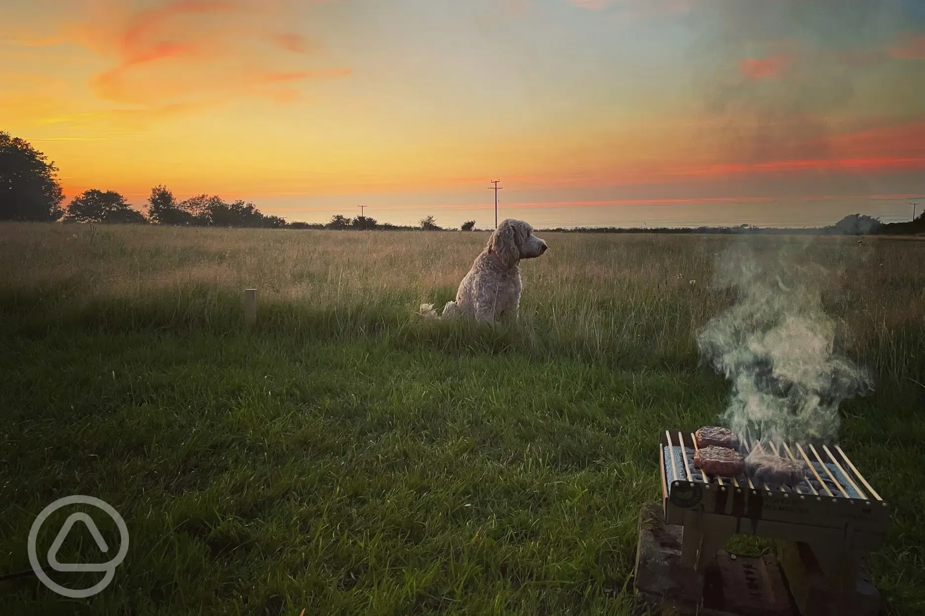 Dogs, Bbq's and sunset...