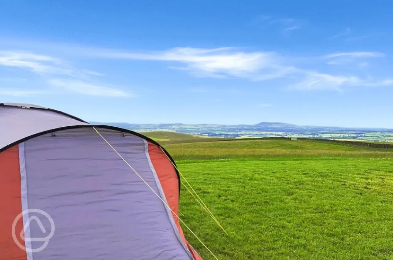 Non electric grass tent pitches