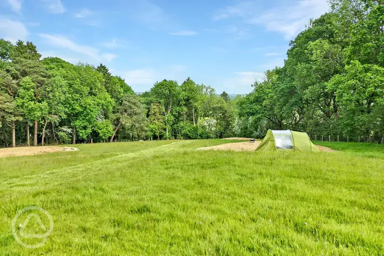 Non electric grass pitches