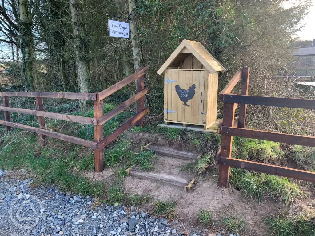 Free Range Organic Egg Box