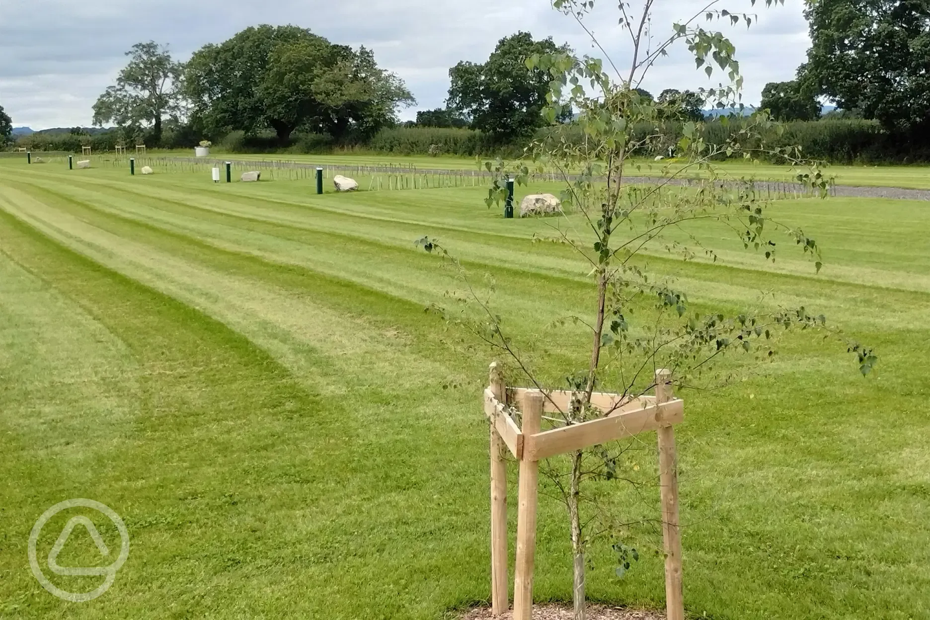 Electric grass pitches