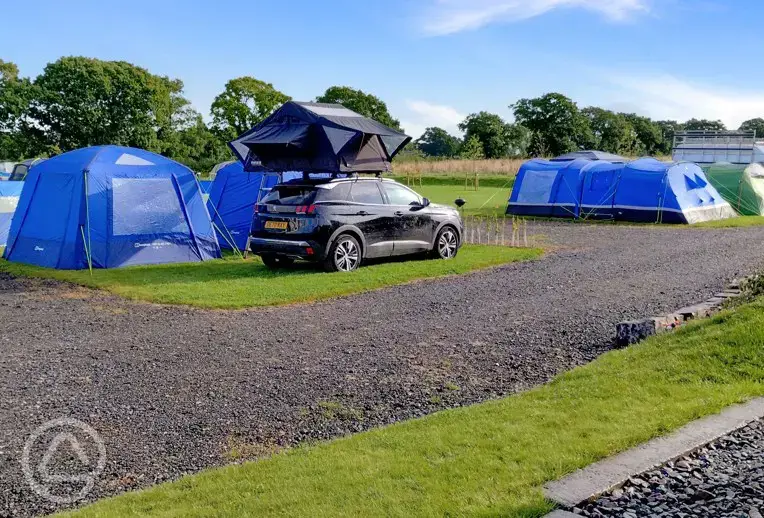 Electric grass pitches