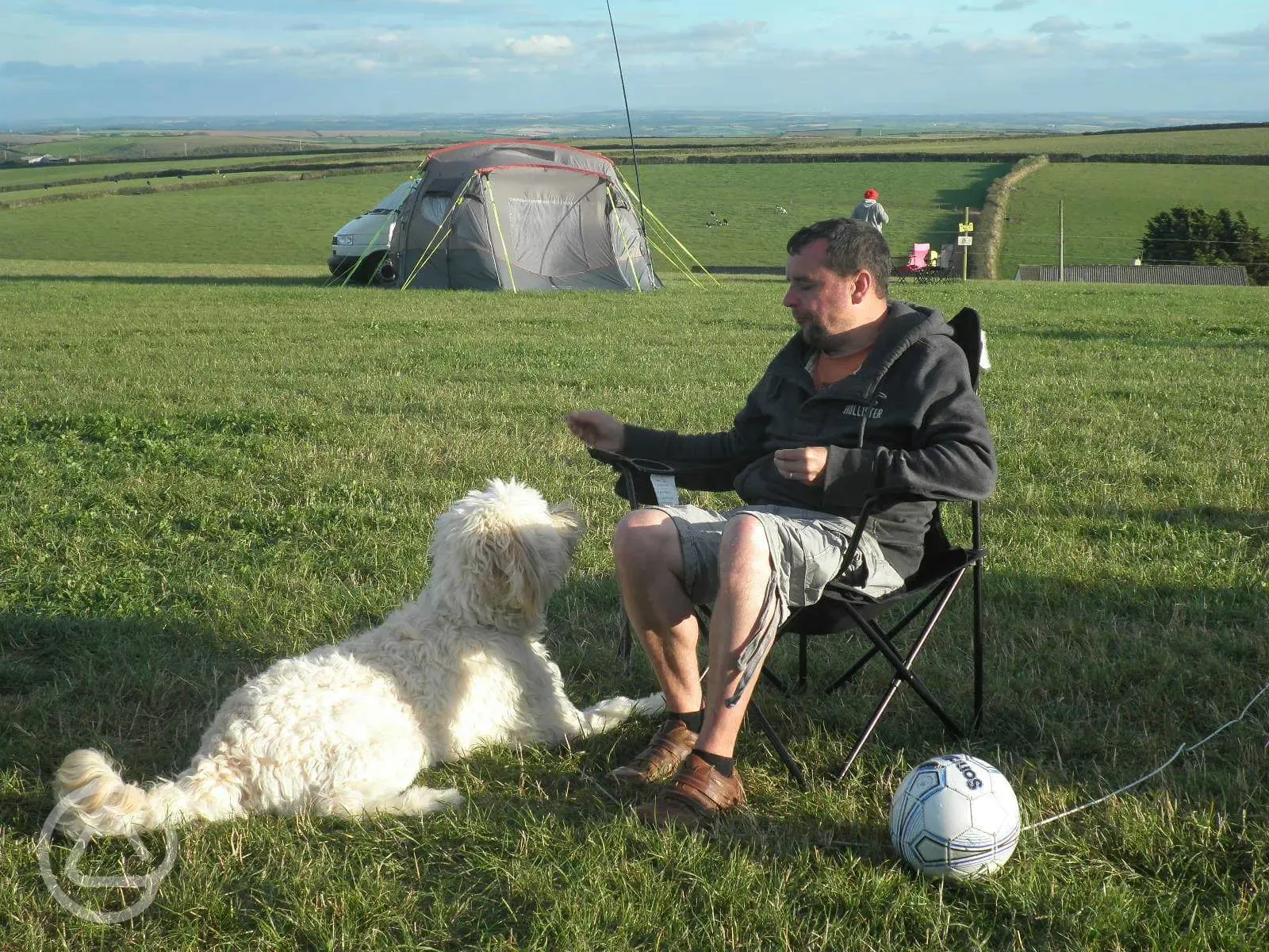 Dog friendly non electric grass pitches