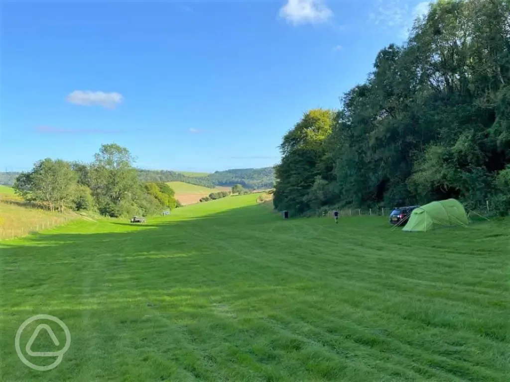 Non electric grass tent pitches