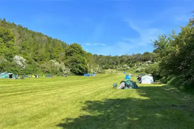 Littleton Farm Campsite
