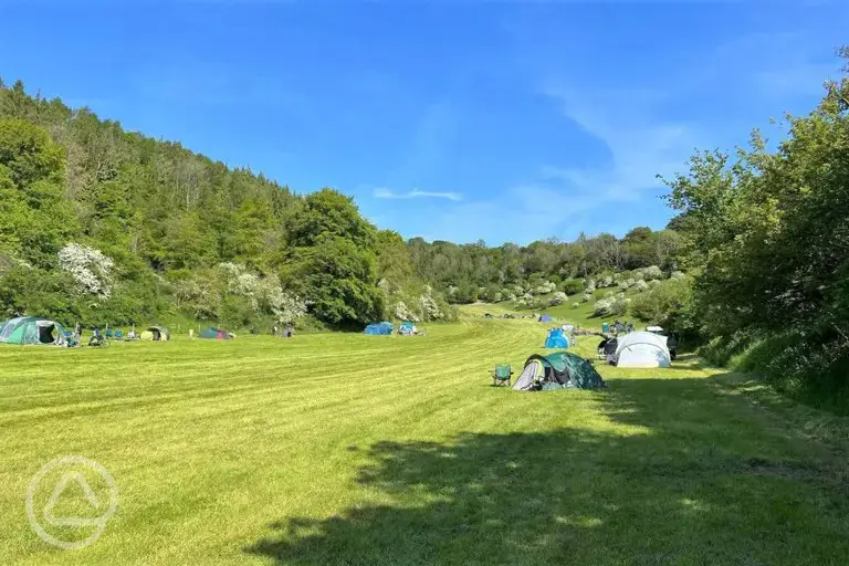 Non electric grass tent pitches