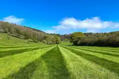 Non electric grass tent pitches