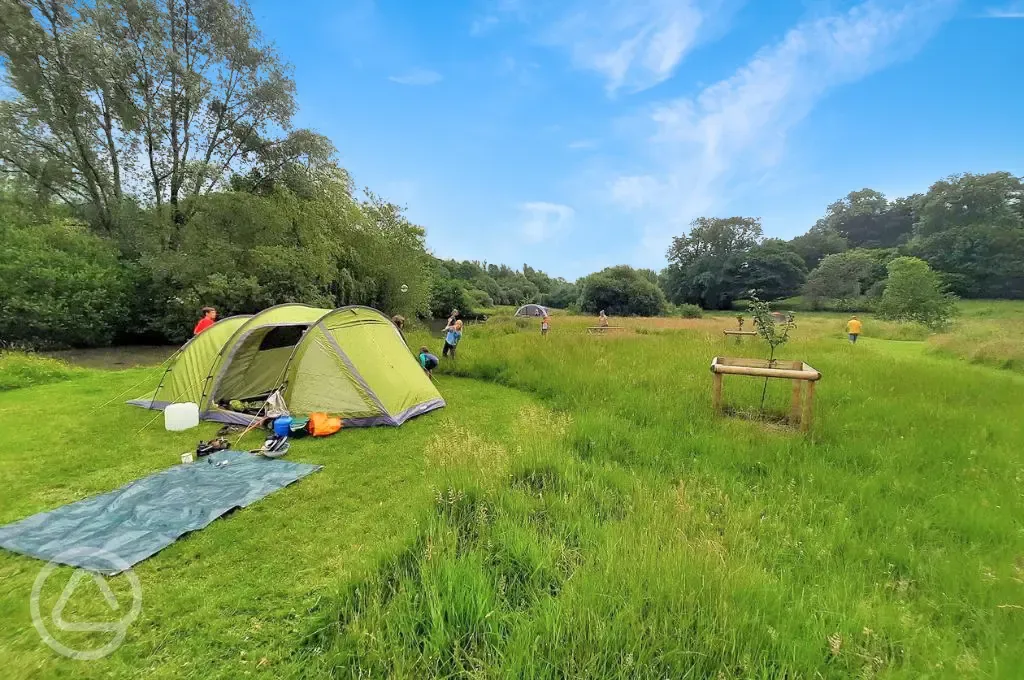 Non electric grass pitches