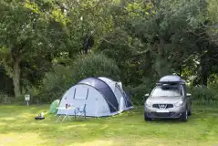 Grass pitches (optional electric) by the woodland borders of the field