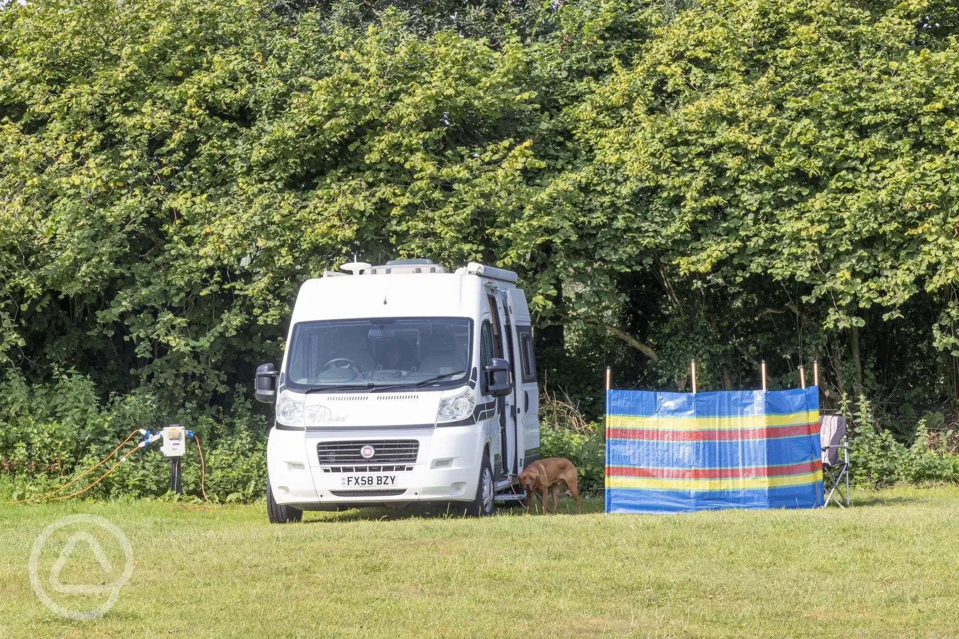 Grass pitches with optional electric