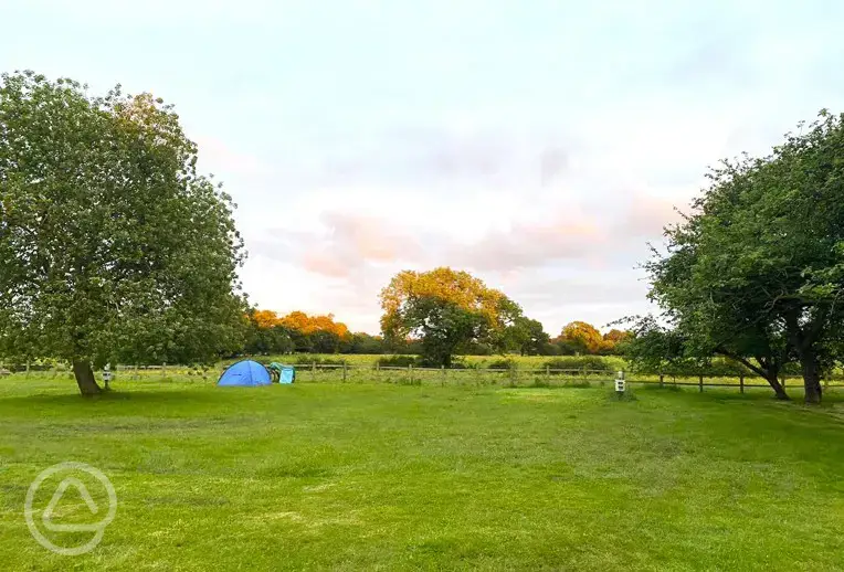 Grass pitches for tents, motorhomes, and campervans with optional electric