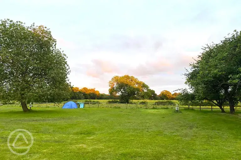 Grass pitches for tents, motorhomes, and campervans with optional electric