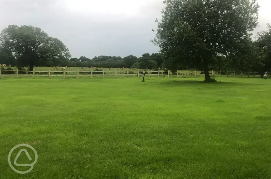 Grass pitches with optional electric