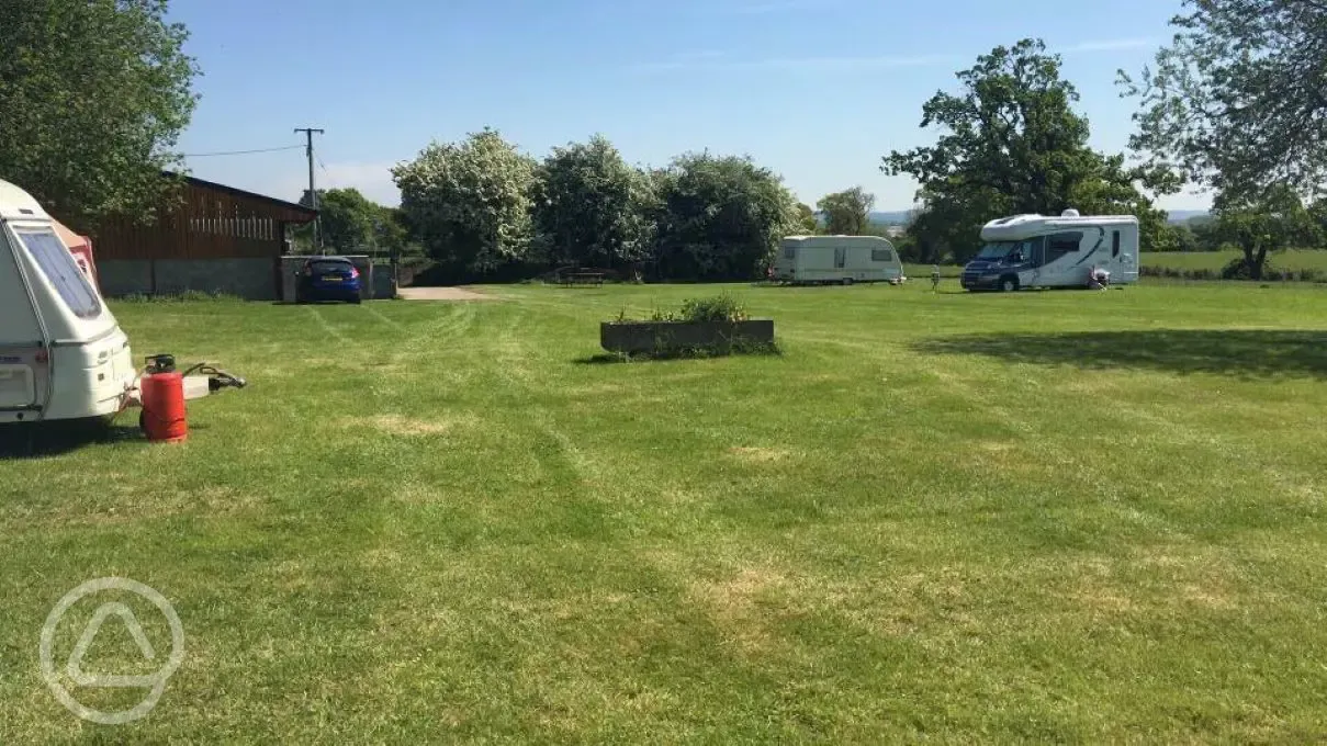 Grass pitches with optional electric at Birch Bank Farm