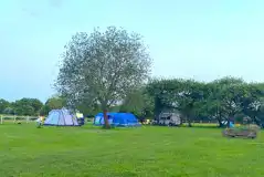 Tent on grass pitches with optional electric hook ups Tent on grass pitches with optional electric hook ups