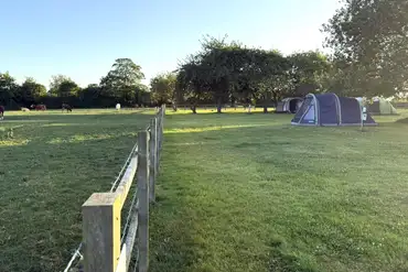 Tents on grass pitches (optional electric) at Birch Bank Farm with animal views