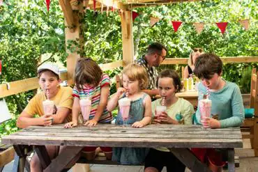 Milkshakes from the Rowan Tree Cafe at Dewslake Farm Campsite