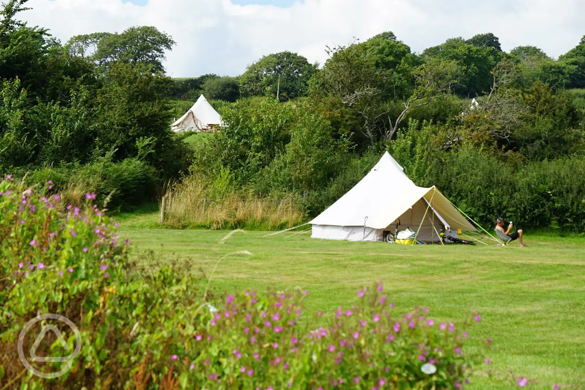 The Meadow. Non Electric Pitch