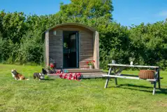 Furnished camping pods exterior with a picnic bench (dog friendly) Furnished camping pods exterior with a picnic bench (dog friendly)