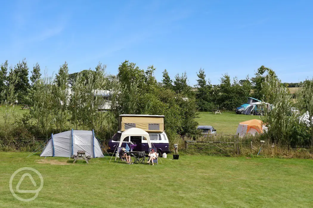 The Cabin Field looking in to The Dogwood