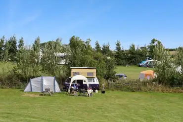 The Cabin Field looking in to The Dogwood