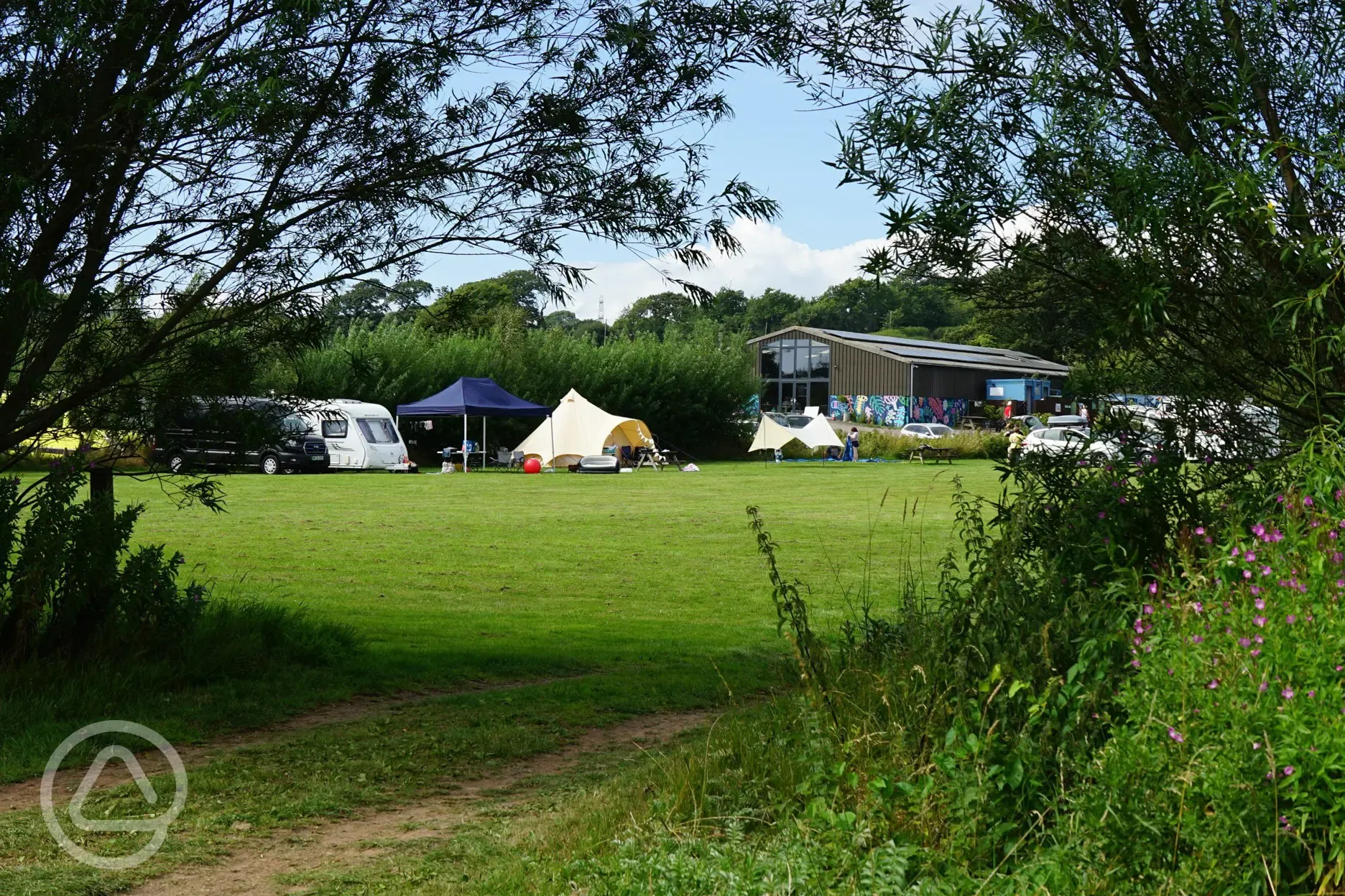 Looking up from Beyond the Willows